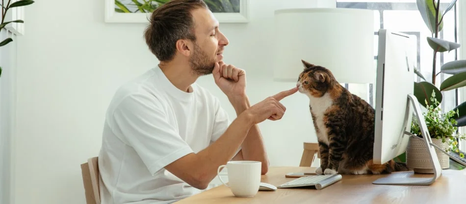 March Webinar Series: Explore Bitrix24 With Intreface